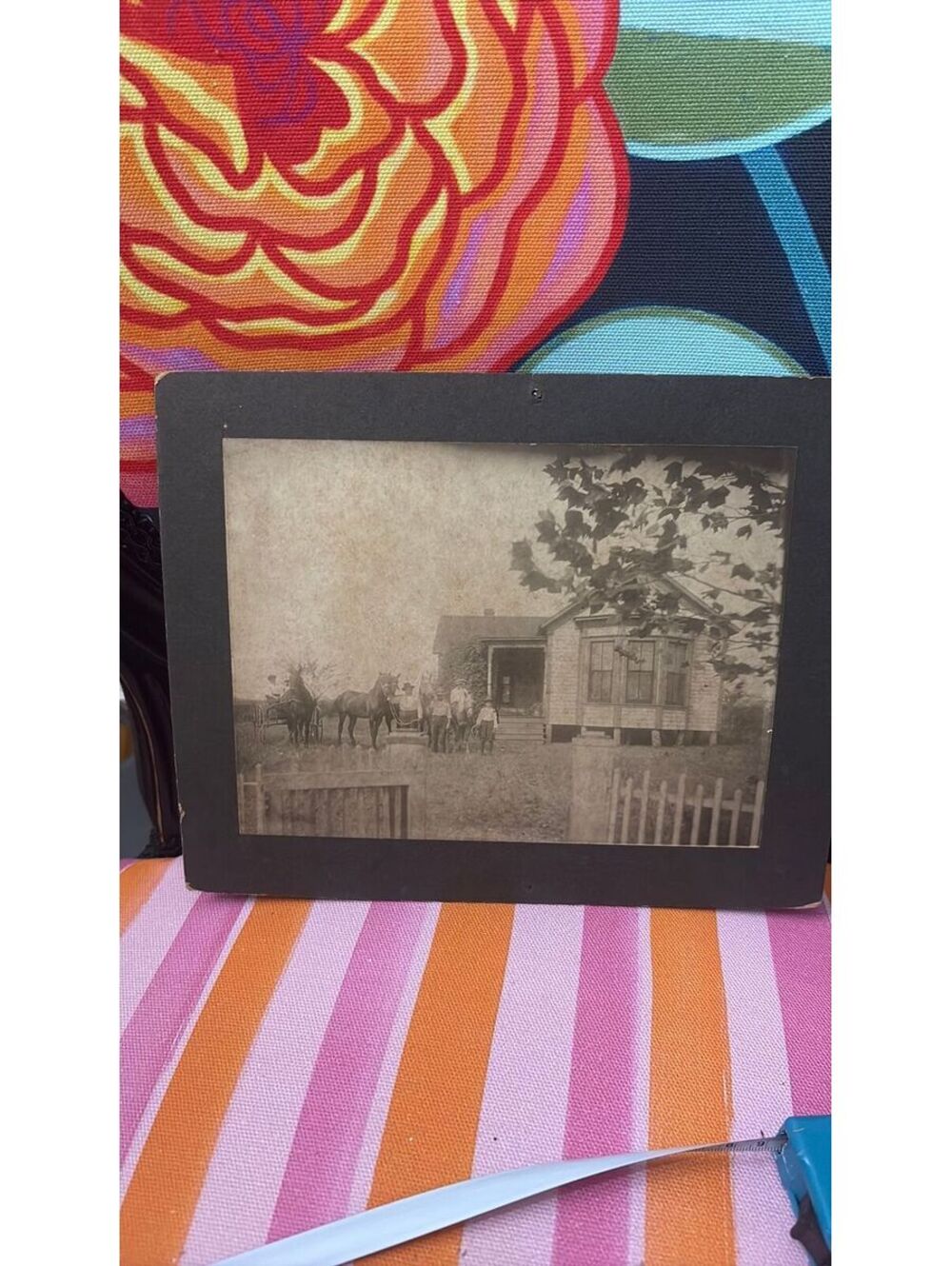 Antique Homestead  Photo